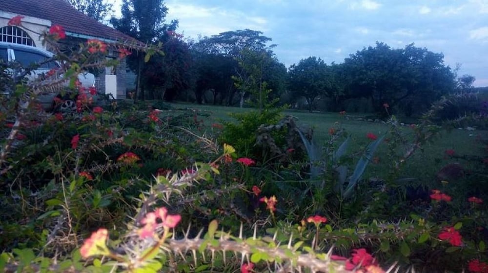 Photo 22