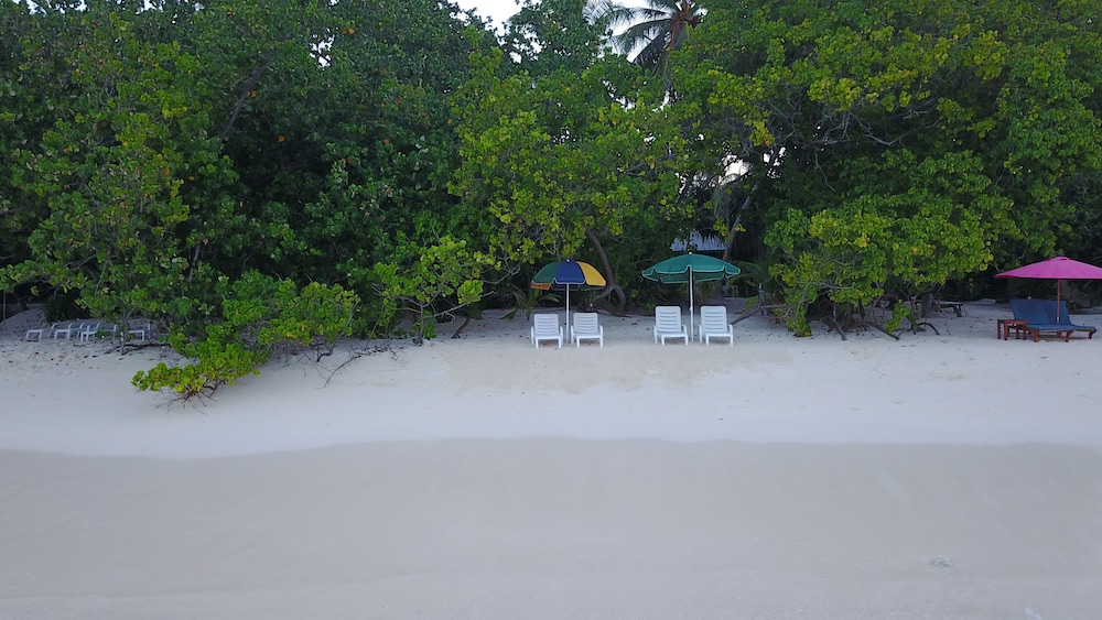 Beach Veli