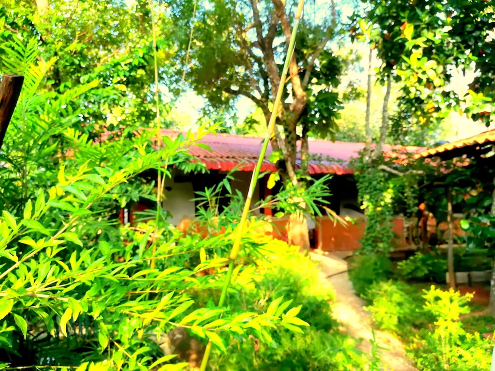 Sisira Natural Lodge