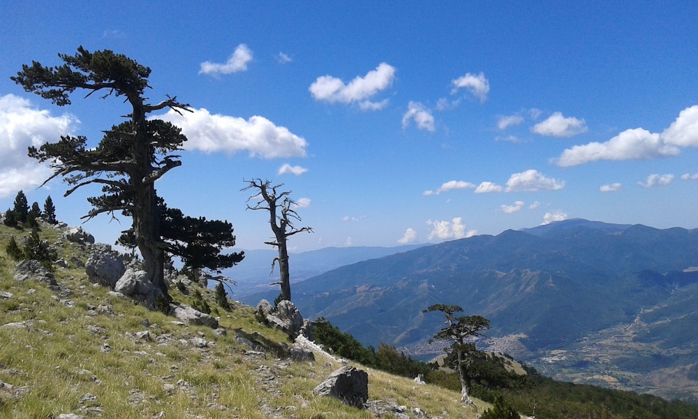 La Dimora della Zarina