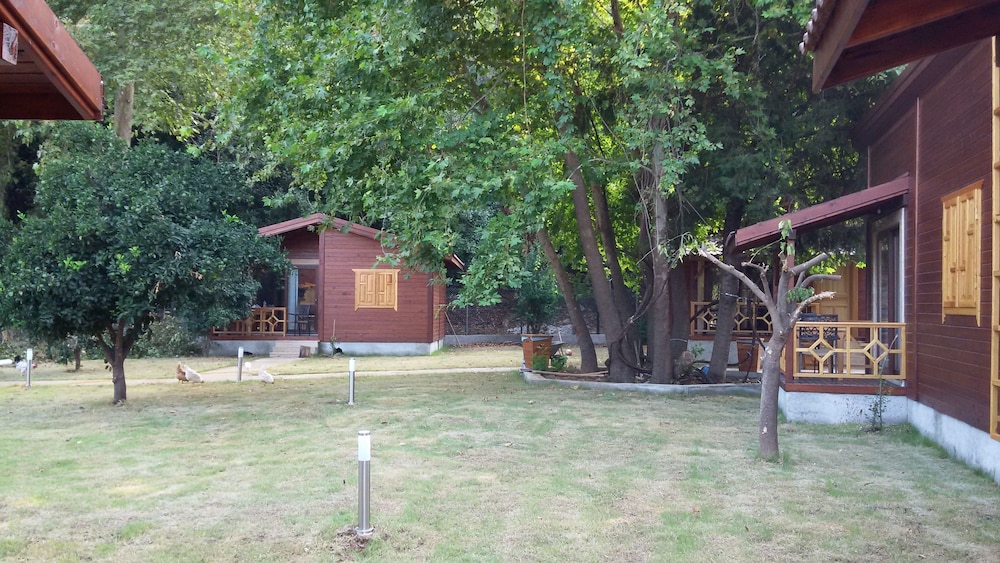 Maji Köyü - Image 15