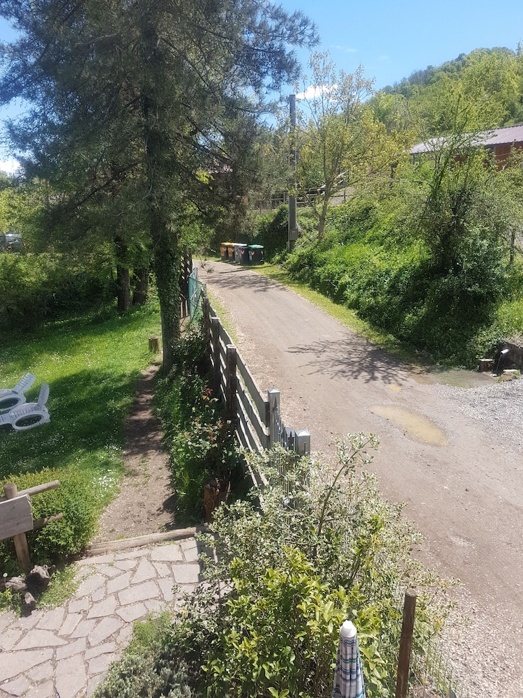 Photo 25