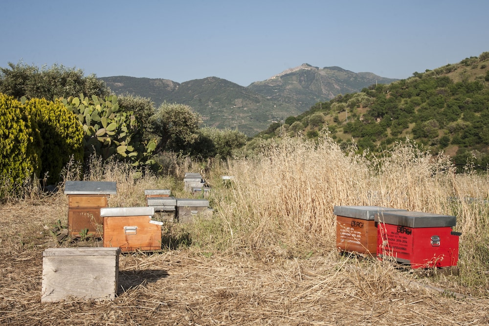 Agriturismo Bergi