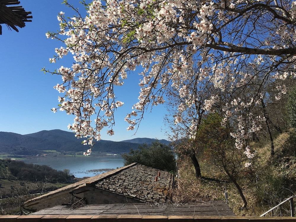 Agriturismo Monte Petreto