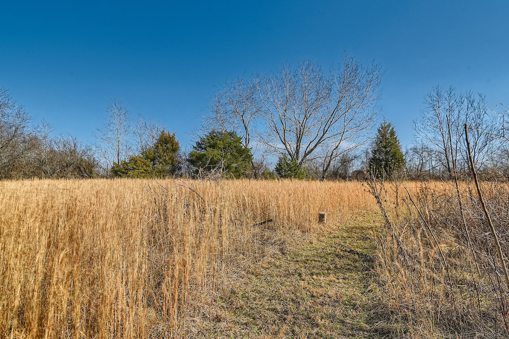 NEW- Family Friendly Ranch Home Near Nashville! (TA) view 4