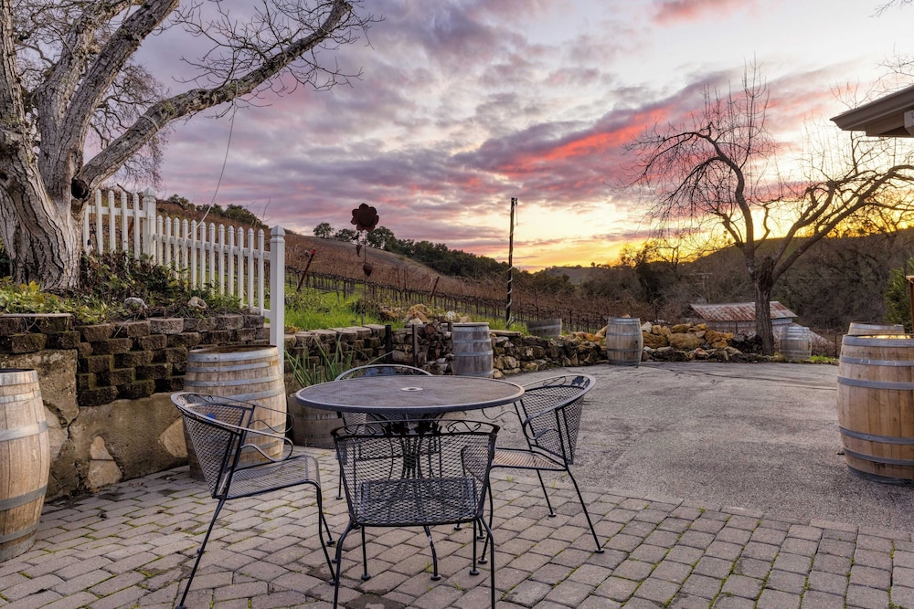 Luxury Wine Country Haven + Vineyard Views Near Top Wineries Adelaida Farmhouse