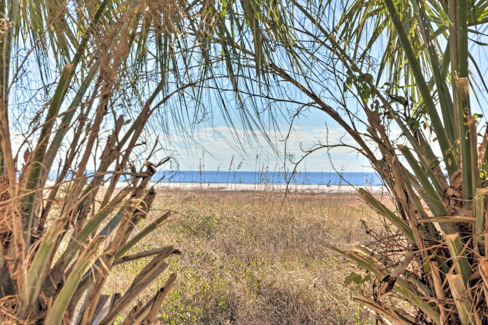 Mardi Gras Boho Chic Condo on the Gulf!