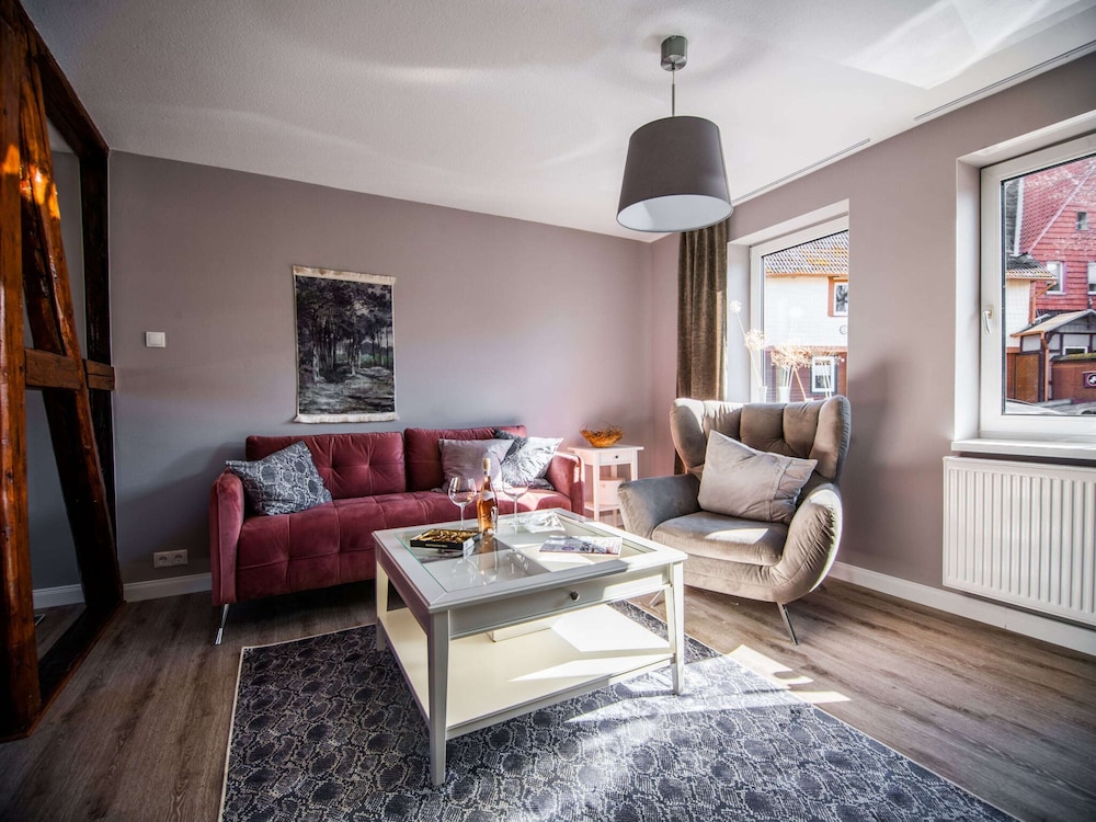 Apartment in Harz With Terrace and Fireplace