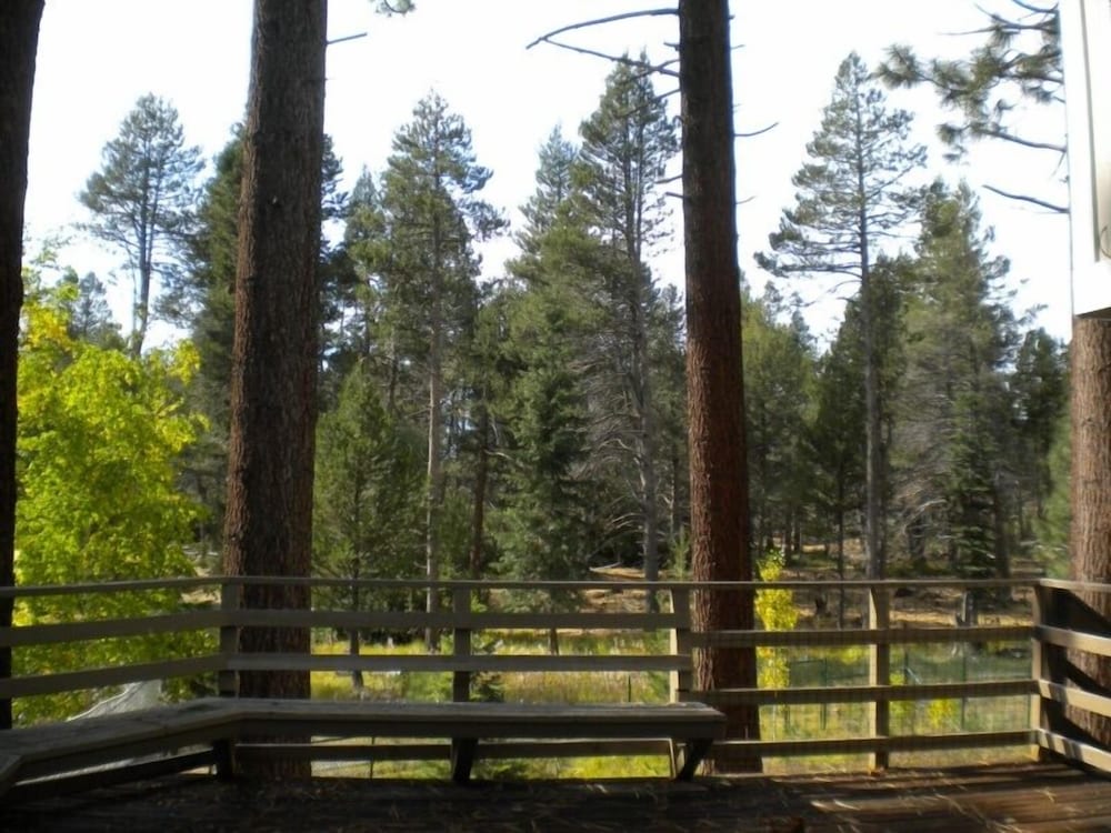 2853 Springwood Dr.