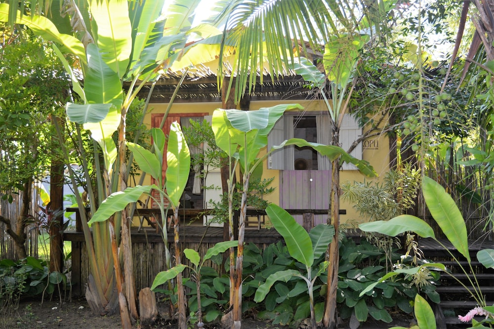 Butterfly House Bahia