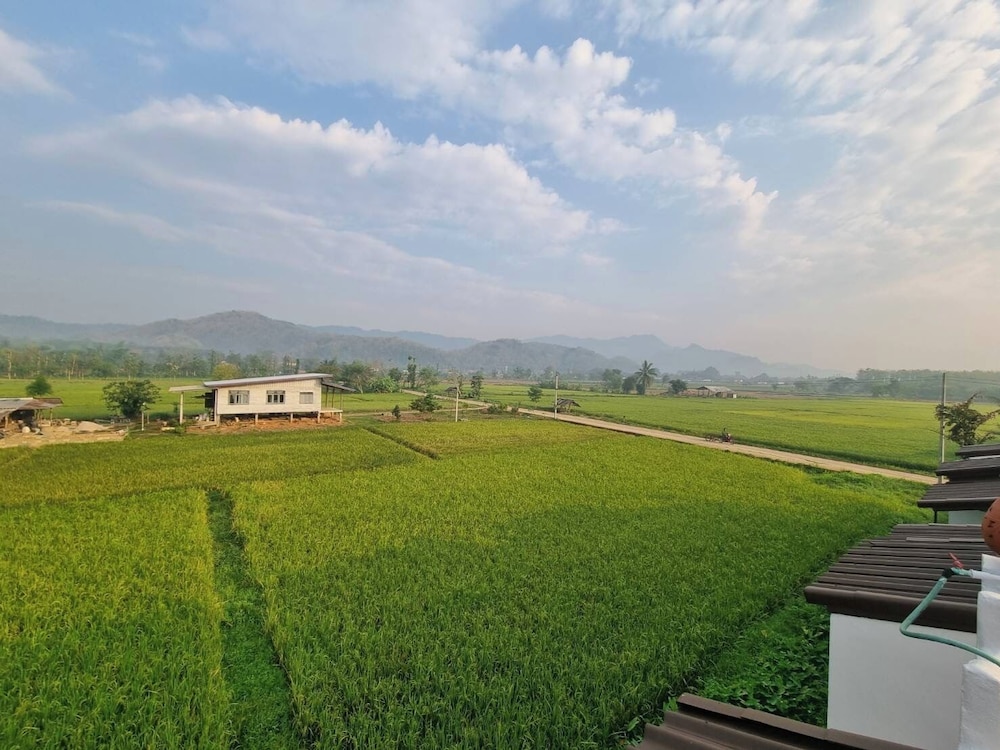 The Green Season Resort Chiang Rai view 5
