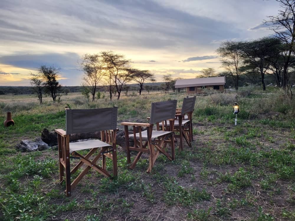 Africa Safari Serengeti Kusini
