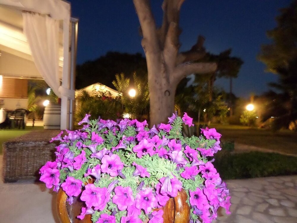 Photo 37
