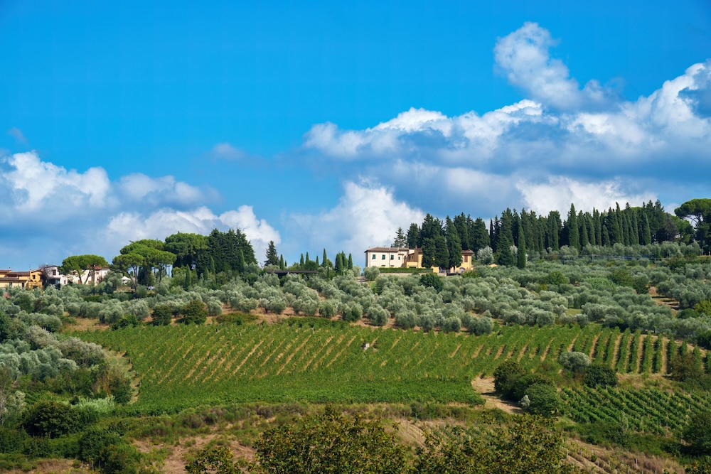 Relaxing Tuscan Country Near Florence
