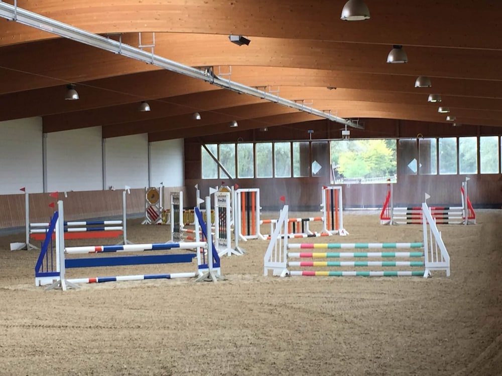 Cozy Holiday Home on a Horse Farm in the Luneburg Heath - Property Image 14