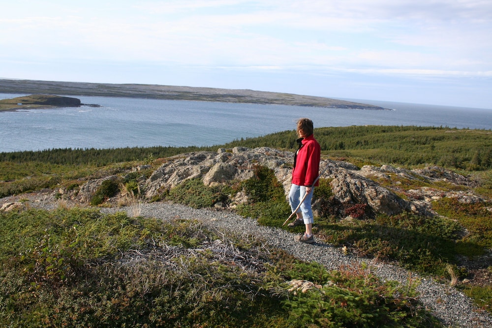 Burnt Cape Cabins