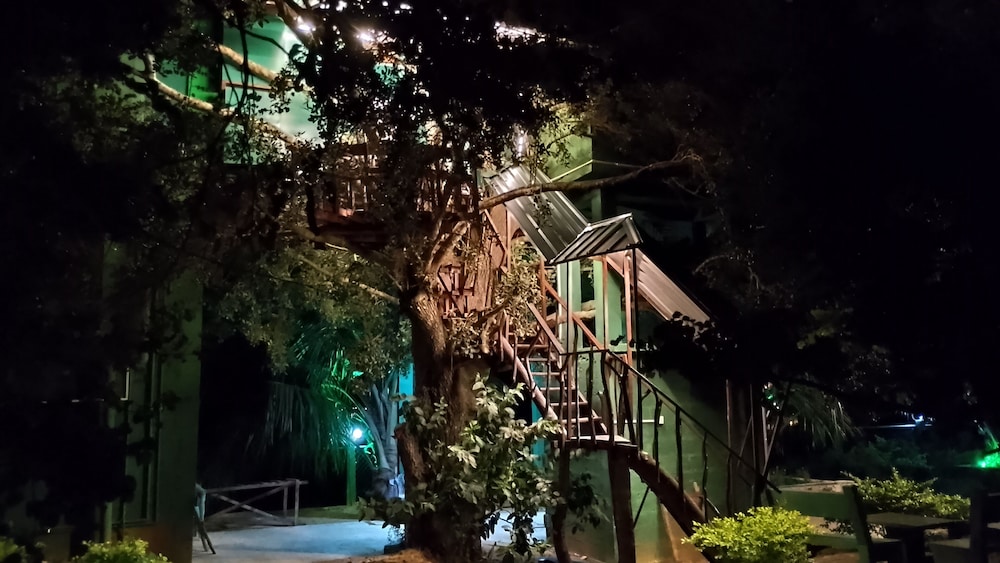 Yala Treetop Lake