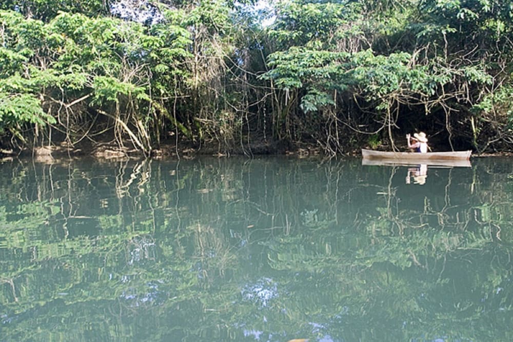 Cotton Tree Lodge