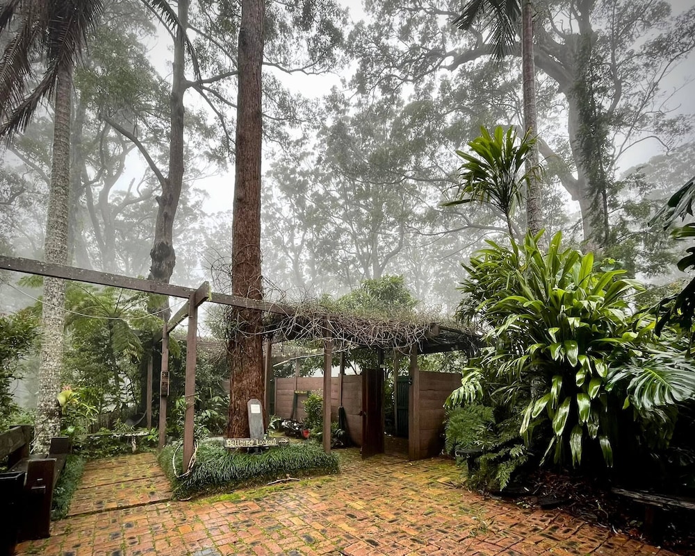 Binna Burra Sky Lodges 32