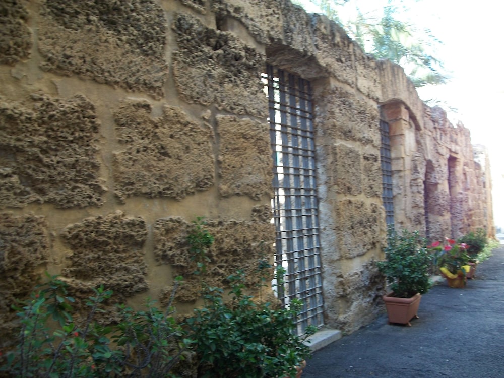 Photo 44