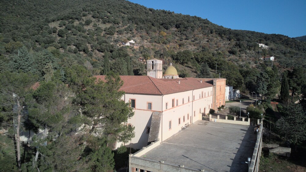 Photo 48
