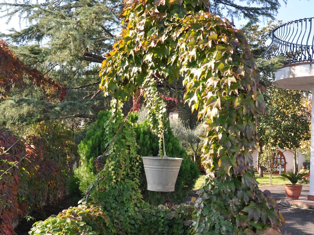 Photo 25