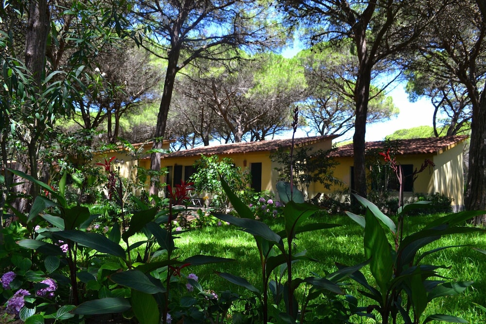 5 Ala Birdi Cottage 150m From The Beach photo 3