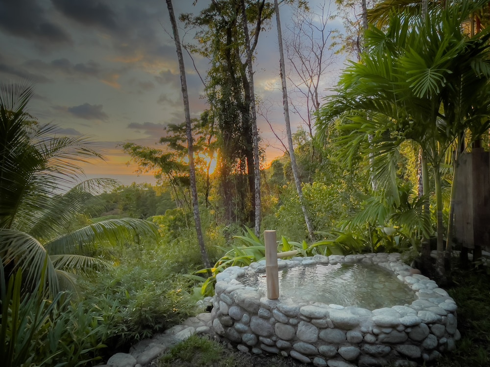 Finca Exotica ecolodge view 4