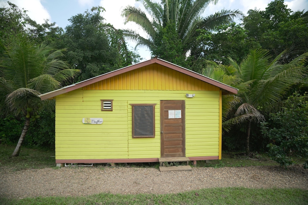 Photo 16