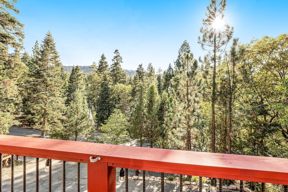 Black Diamond Vista #653