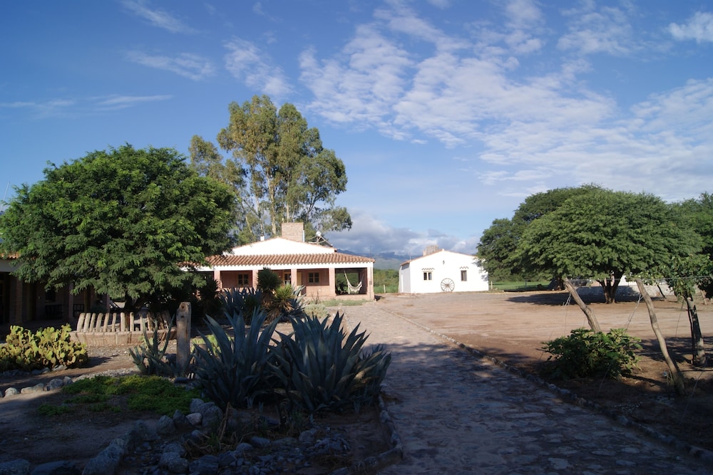 La Vaca Tranquila