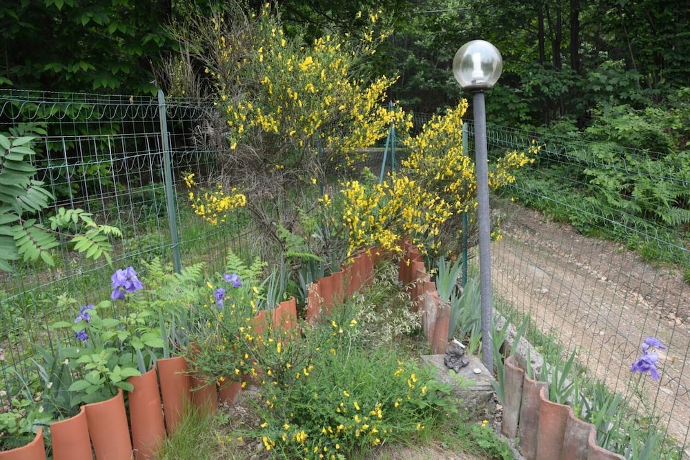Photo 11