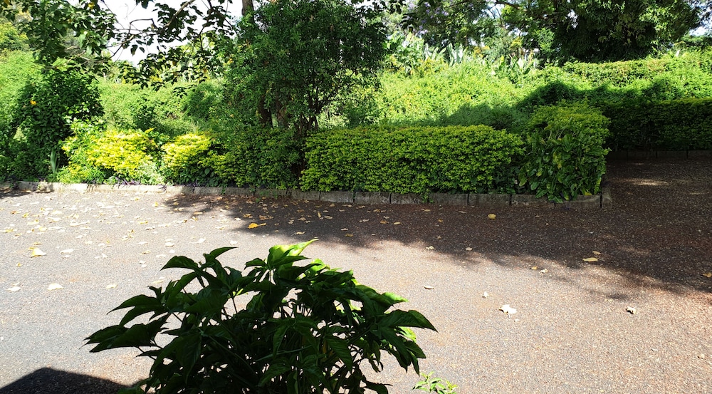 Captivating 3-bed House in Moshi Town view 4