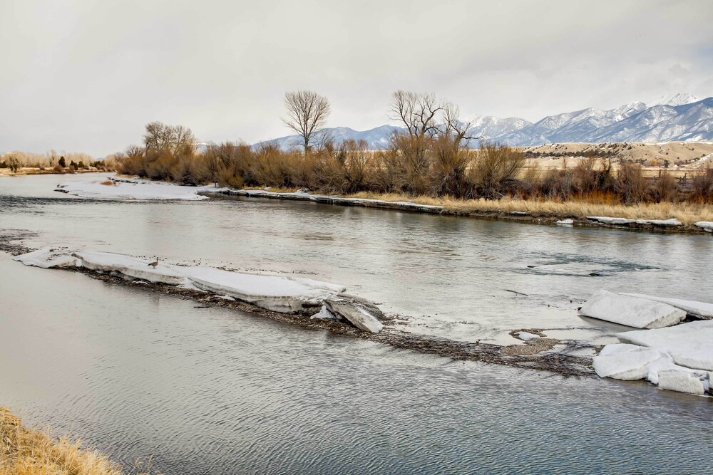 Beautiful Jefferson River Cabin w/ Mountain Views! - Property Image 17