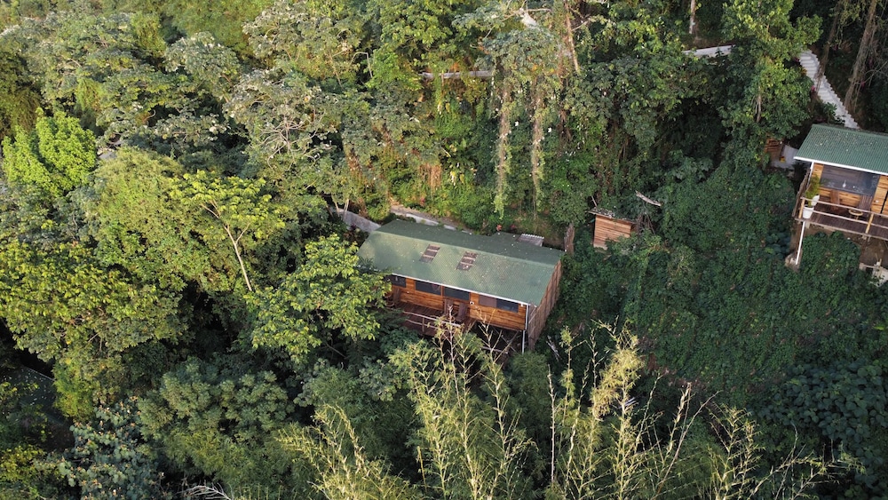 La Casa del Mono