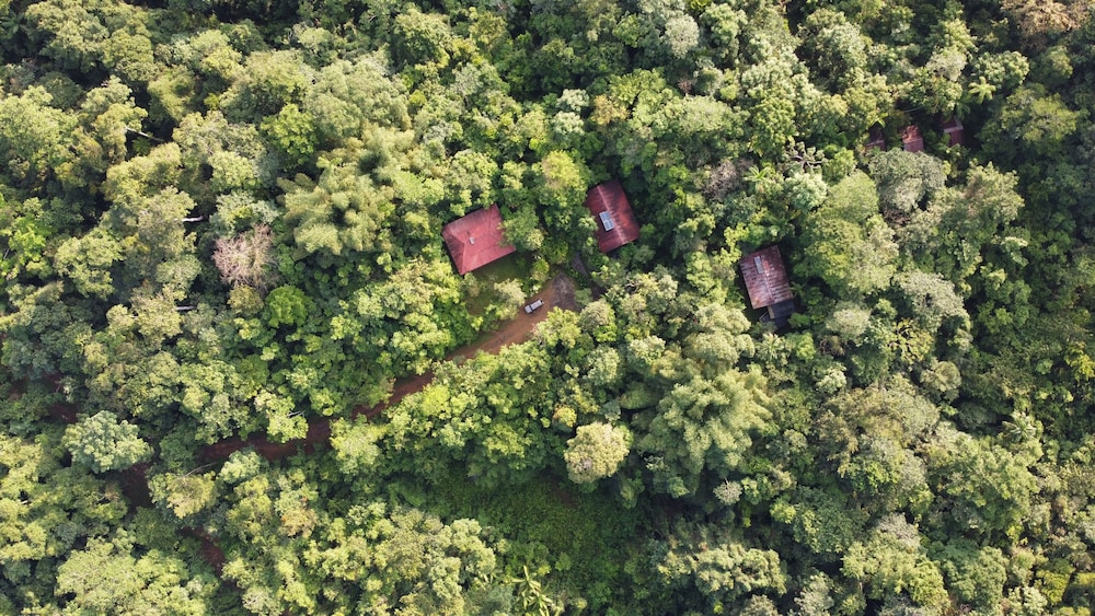 Yatama Ecolodge Sarapiqui