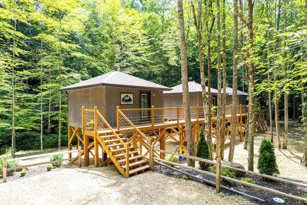 Cosby 'wilderness Cabin' Studio w/ Fire Pit