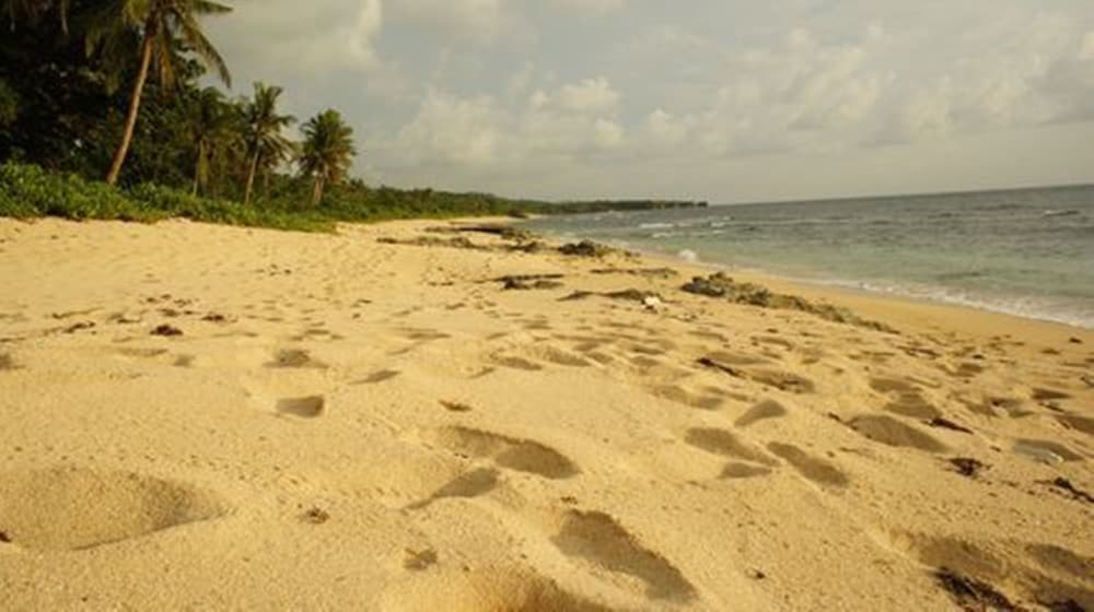Photo 20