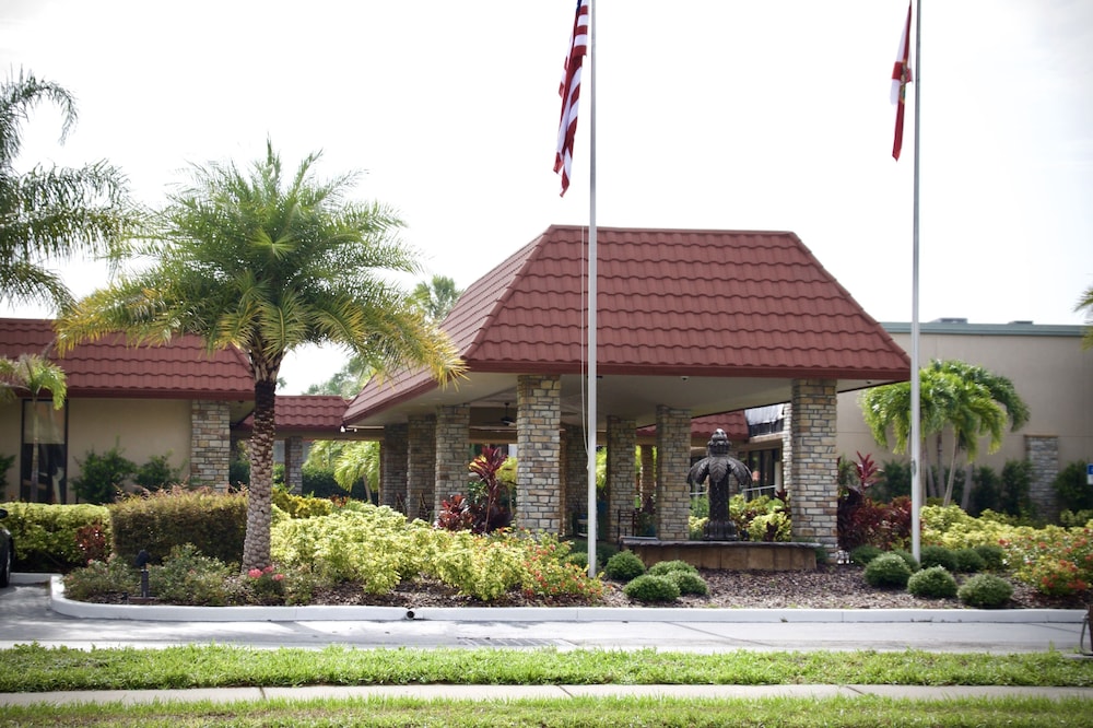 The Suites at Magic Tree
