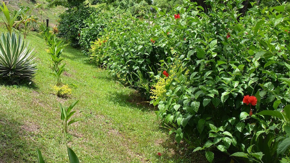 Fijian Oasis - view 18