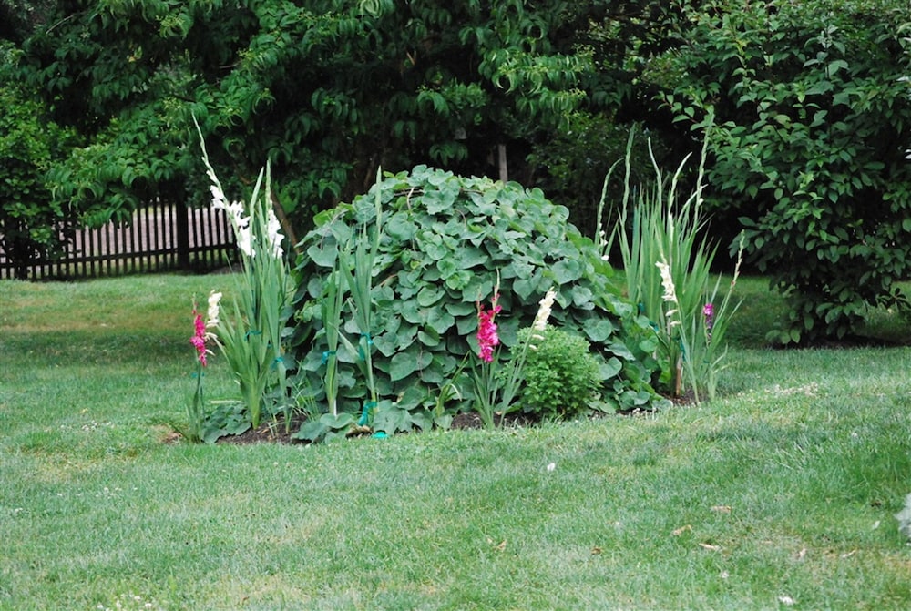 Photo 39