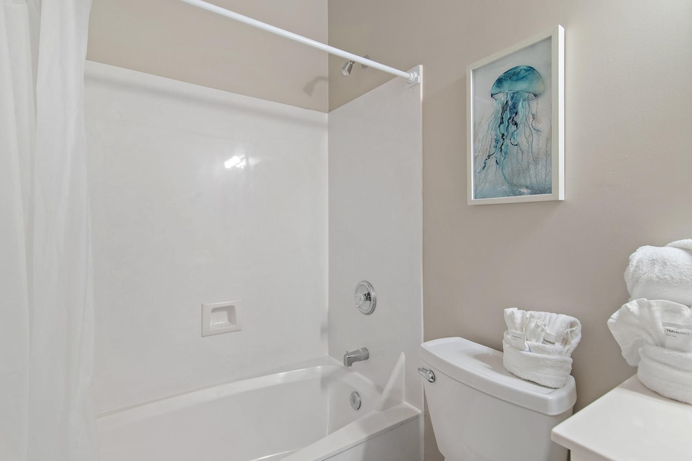 Pavilion Palms 204c