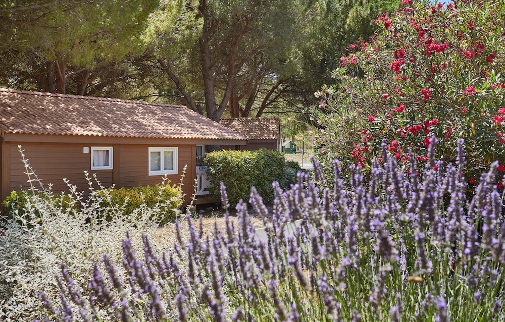 Résidence Odalys Shangri-La - Les Hauts de Cassis