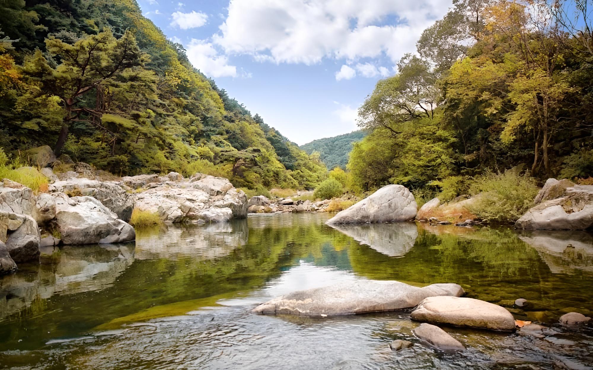 Muju Heukjip Jeongwon Pension view 5