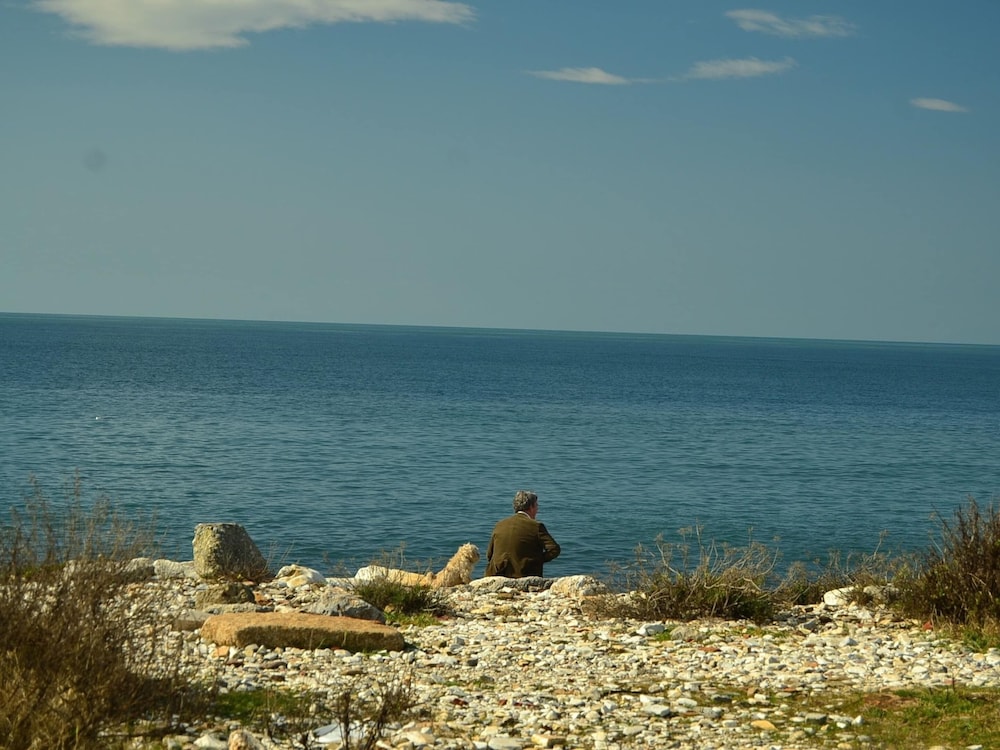 Photo 32