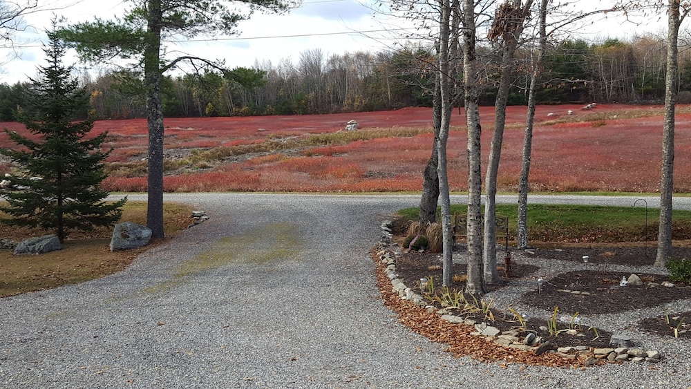 Blueberry Fields B&B