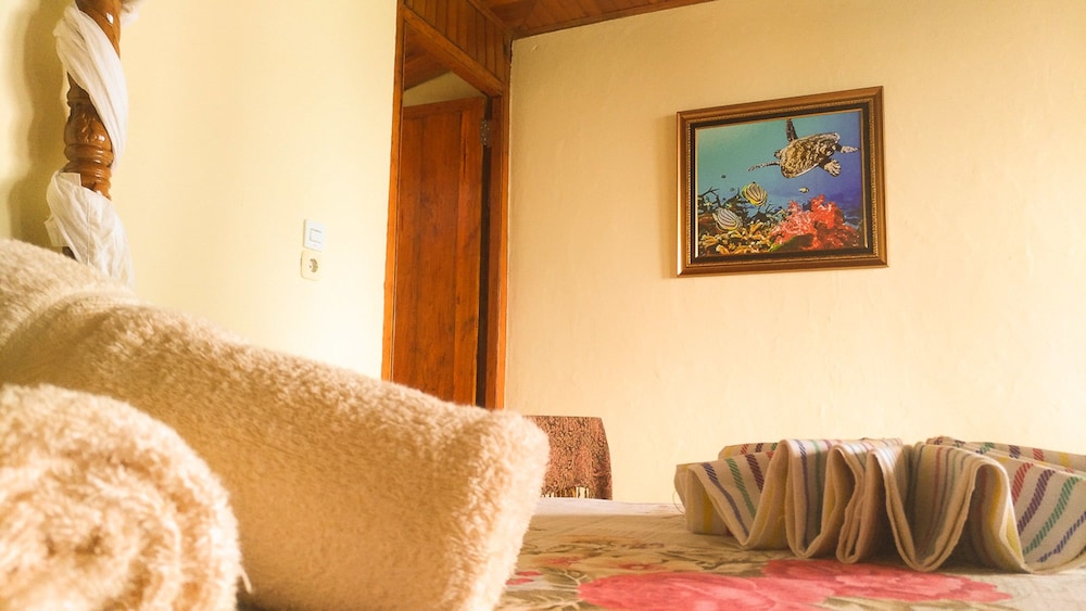 Panorama Backpackers 8