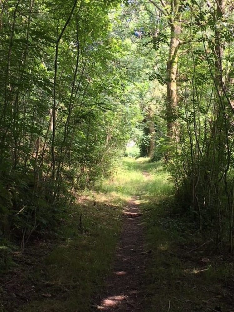 Photo 14