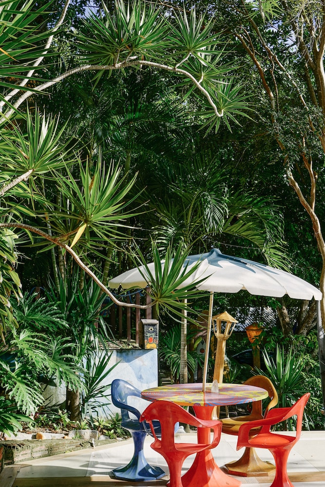 Macaco Surf House - Hostel