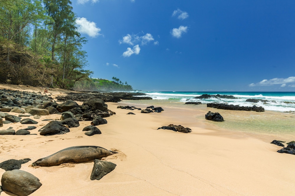 Secret Cove in Kilauea